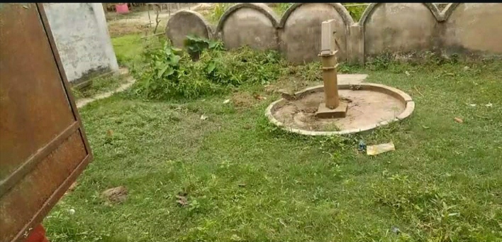 snake in quarantine center